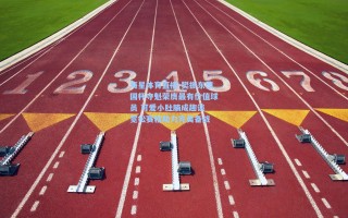 海星体育直播-樊振东德国杯夺魁荣膺最有价值球员 可爱小肚腩成趣谈 宽松赛程助力完美备战