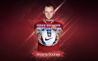 海星体育-索林为何忌惮樊振东留战德甲？萨尔布吕肯赛场一夜揭开谜底