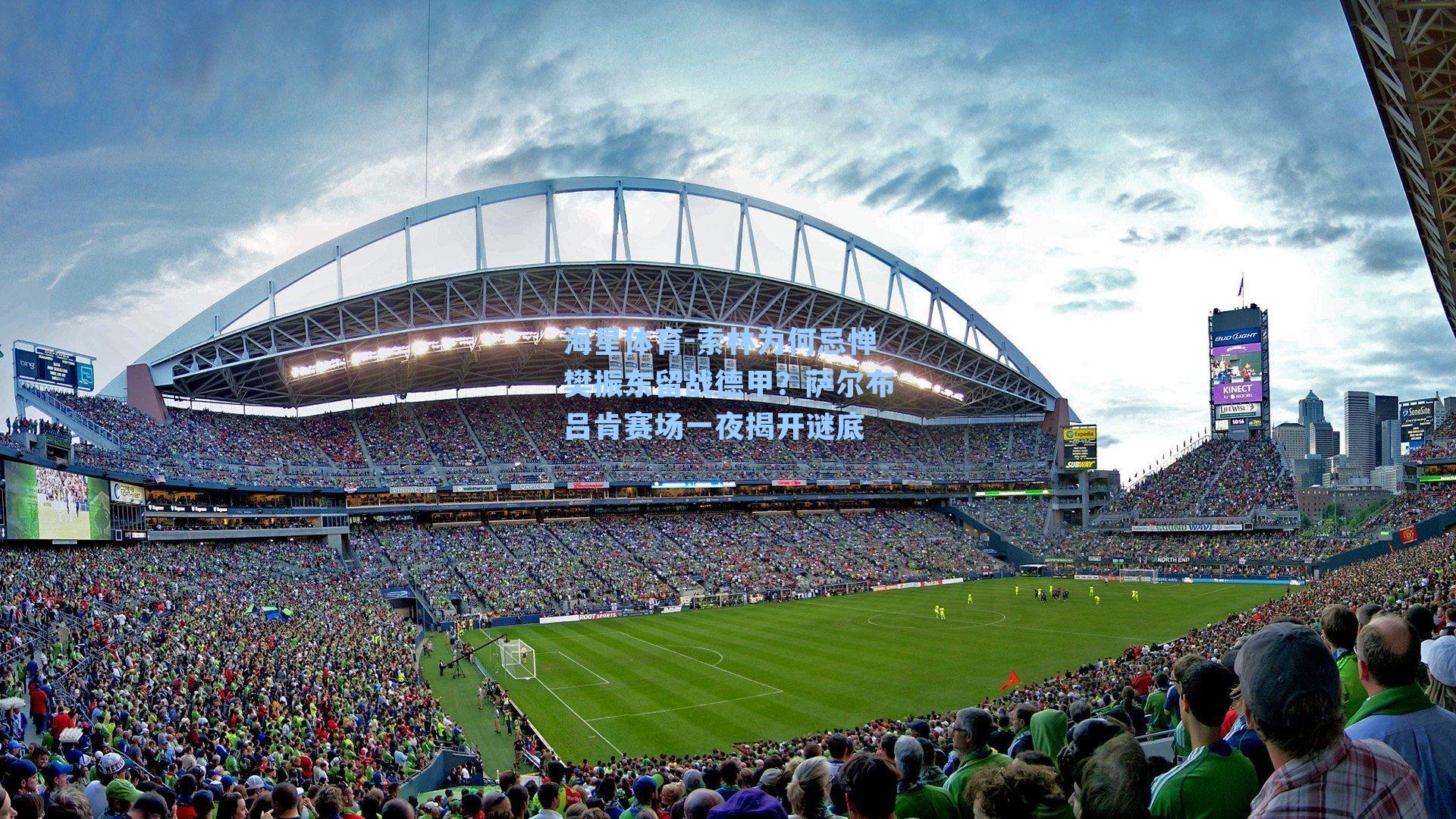 海星体育-索林为何忌惮樊振东留战德甲？萨尔布吕肯赛场一夜揭开谜底-第3张图片-海星体育_海星体育官网_海星体育直播平台